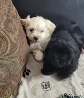 processed/9ffde402-1bae-4418-a20c-cda690fa4900/listing/c5918542-66d8-4d82-b0f9-59a699865ceb/e3d71dc5-416d-4bef-bd95-799b10255791