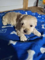 processed/9ffde402-1bae-4418-a20c-cda690fa4900/listing/c5918542-66d8-4d82-b0f9-59a699865ceb/f2000ec5-1743-4773-902c-50cfd51eac12