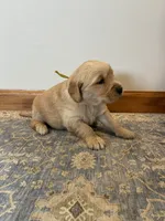 processed/9fffc297-3198-425d-9e1d-1c271e4cb1d7/listing/dd7a9890-d725-45d4-a51a-b9e31adcfcc0/40a4bd27-86ac-40c8-9b97-2b2887192a5c