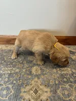 processed/9fffc297-3198-425d-9e1d-1c271e4cb1d7/listing/dd7a9890-d725-45d4-a51a-b9e31adcfcc0/4da0819d-922b-414c-9800-561eb28ce779