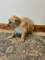 processed/9fffc297-3198-425d-9e1d-1c271e4cb1d7/listing/dd7a9890-d725-45d4-a51a-b9e31adcfcc0/c3520c2c-6548-49d3-8859-56f832e1c3ff