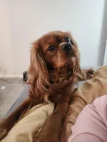 processed/a0008119-d494-4933-a264-ee1931041a38/facility/29cd0982-1c6d-425b-908c-57ba6f89b6cb