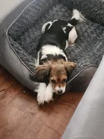 processed/a0008119-d494-4933-a264-ee1931041a38/facility/351be4aa-895a-4681-aa46-2ab1221a017b