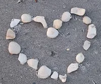 processed/a0008119-d494-4933-a264-ee1931041a38/facility/7171b834-5822-42e7-af75-c511e378340b