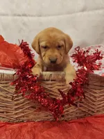 processed/a002973a-5e04-4388-93c4-e04ef3760ccf/listing/0e2a2a95-4986-4bcf-8a09-c81403760aa9/dcb1ca9a-1414-43f9-b611-17414cade104