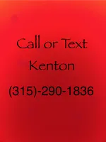 Valentine, a female Labrador Retriever for sale in Lyons, NY – Photo 7 of 7