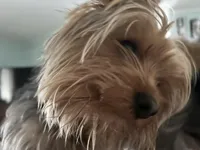 processed/a00b5464-4731-478d-870d-a110fab7ad4c/facility/2d777a03-fb0e-4f49-8c49-bccd6066e6fc