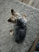 processed/a00b5464-4731-478d-870d-a110fab7ad4c/facility/d88ad61c-8664-4917-b657-95d253999489