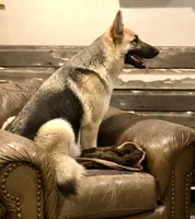 processed/a00cded0-4a1b-4abf-b01c-2f18b0409afc/facility/69b19240-ffa9-40a3-bd2b-56b46bff7818