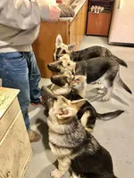 processed/a00cded0-4a1b-4abf-b01c-2f18b0409afc/facility/842c3691-4687-4219-8f2c-36f3a51fd9ec