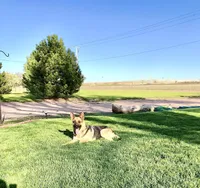 processed/a00cded0-4a1b-4abf-b01c-2f18b0409afc/facility/bf4d09d0-28de-4219-a5b4-33bc235b33e0