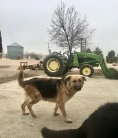 processed/a00cded0-4a1b-4abf-b01c-2f18b0409afc/facility/dd87c982-4e1e-4399-b8e2-9f425b3d4a67