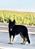 processed/a00cded0-4a1b-4abf-b01c-2f18b0409afc/facility/ecfff3ce-d4ee-4ed1-9df2-5537bb93d053