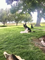 processed/a00cded0-4a1b-4abf-b01c-2f18b0409afc/facility/eec04a24-55f2-41ee-b870-1f3d90001f4e