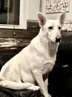 processed/a00cded0-4a1b-4abf-b01c-2f18b0409afc/facility/f8fa23b3-ec44-4276-9abe-4d994a204e8d