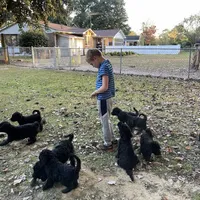 processed/a01458ae-11e4-44d7-a617-015c84b43fb9/facility/93c49733-3222-4ea3-9a77-d84941a129c9