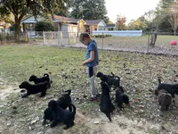 processed/a01458ae-11e4-44d7-a617-015c84b43fb9/facility/93c49733-3222-4ea3-9a77-d84941a129c9