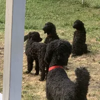 processed/a01458ae-11e4-44d7-a617-015c84b43fb9/facility/b7e45569-c893-451e-b8e4-36cd98501153