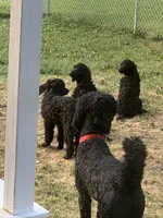 processed/a01458ae-11e4-44d7-a617-015c84b43fb9/facility/b7e45569-c893-451e-b8e4-36cd98501153