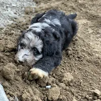 processed/a01458ae-11e4-44d7-a617-015c84b43fb9/facility/be1d6b32-9ec8-4256-8a6e-091c8e593f2c