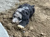 processed/a01458ae-11e4-44d7-a617-015c84b43fb9/facility/be1d6b32-9ec8-4256-8a6e-091c8e593f2c