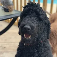 processed/a01458ae-11e4-44d7-a617-015c84b43fb9/facility/cd766319-a1ac-4d0c-879f-c54ab7088e65