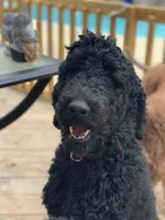 processed/a01458ae-11e4-44d7-a617-015c84b43fb9/facility/cd766319-a1ac-4d0c-879f-c54ab7088e65