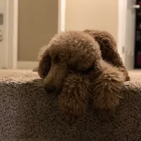 processed/a01458ae-11e4-44d7-a617-015c84b43fb9/facility/e0384300-a321-485f-b5f2-d043856b03ca