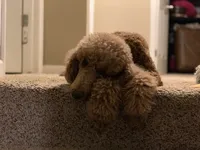 processed/a01458ae-11e4-44d7-a617-015c84b43fb9/facility/e0384300-a321-485f-b5f2-d043856b03ca