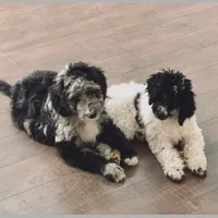 processed/a01458ae-11e4-44d7-a617-015c84b43fb9/facility/f0df4abf-393f-4673-8669-26df3ef03ccc