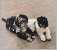 processed/a01458ae-11e4-44d7-a617-015c84b43fb9/facility/f0df4abf-393f-4673-8669-26df3ef03ccc