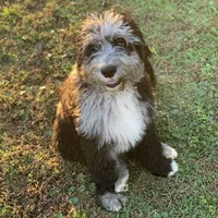 processed/a01458ae-11e4-44d7-a617-015c84b43fb9/facility/fbf84655-0bfc-45c2-b4a7-20f26ac62e47