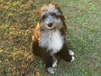 processed/a01458ae-11e4-44d7-a617-015c84b43fb9/facility/fbf84655-0bfc-45c2-b4a7-20f26ac62e47