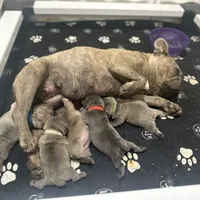 processed/a01c138f-29ab-4d30-a10b-d1561114f0a2/facility/22e3ec51-60aa-48c6-890a-e7f141c1c60f