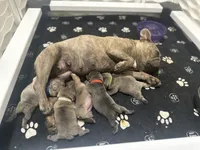 processed/a01c138f-29ab-4d30-a10b-d1561114f0a2/facility/22e3ec51-60aa-48c6-890a-e7f141c1c60f