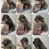 processed/a01c138f-29ab-4d30-a10b-d1561114f0a2/facility/307a784a-956b-4986-be3d-18b77b7d8ecc