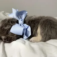 processed/a01c138f-29ab-4d30-a10b-d1561114f0a2/facility/b4446549-c3f6-4c93-b855-ba76c03c01ff