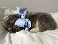 processed/a01c138f-29ab-4d30-a10b-d1561114f0a2/facility/b4446549-c3f6-4c93-b855-ba76c03c01ff