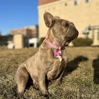 processed/a01c138f-29ab-4d30-a10b-d1561114f0a2/facility/b69fd943-62a6-433c-aafc-1f02f5b15fcd