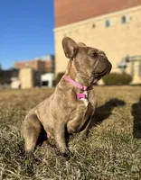 processed/a01c138f-29ab-4d30-a10b-d1561114f0a2/facility/b69fd943-62a6-433c-aafc-1f02f5b15fcd