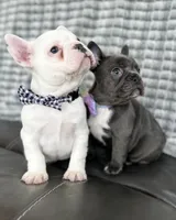 processed/a01c138f-29ab-4d30-a10b-d1561114f0a2/facility/f3638525-2ab4-4734-a7e4-261927cebfd3