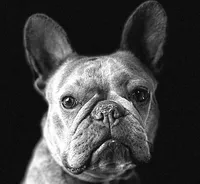 processed/a01c138f-29ab-4d30-a10b-d1561114f0a2/facility/f71256ea-566c-4b4f-9da0-3b09cc8fe9b4