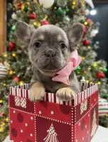 processed/a01c138f-29ab-4d30-a10b-d1561114f0a2/listing/7946ce3c-c4ee-4753-ad47-841302805f98/6c6d428c-0747-4aaa-afc2-c56ad124b5bd