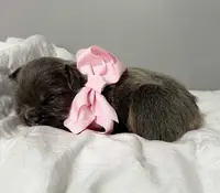 processed/a01c138f-29ab-4d30-a10b-d1561114f0a2/listing/7946ce3c-c4ee-4753-ad47-841302805f98/930b685b-731d-4281-86e5-7f675773fcba