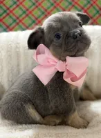 processed/a01c138f-29ab-4d30-a10b-d1561114f0a2/listing/7946ce3c-c4ee-4753-ad47-841302805f98/afa3f63d-11d4-4c9f-b711-20a86403a9a1