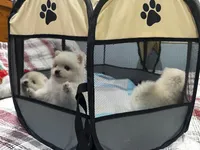 processed/a02cac73-ed12-4873-a747-12b663b3a092/listing/51d60da1-48b6-4a01-8f43-90368a88bb77/561afda0-673e-48fb-b915-a88fb890c8f5