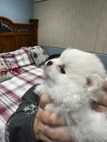 processed/a02cac73-ed12-4873-a747-12b663b3a092/listing/51d60da1-48b6-4a01-8f43-90368a88bb77/9d6b98a8-8b83-46e2-a93e-bcb5e069e956