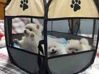 processed/a02cac73-ed12-4873-a747-12b663b3a092/listing/51d60da1-48b6-4a01-8f43-90368a88bb77/f1ba0767-950e-47ba-9408-679c050eabb2