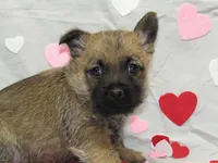 processed/a02f07db-c883-49e6-9b02-cf627b5360fb/listing/1736d464-f721-43d2-a070-ba86ba883ac7/18c15a84-f7a2-4b62-8f47-e5a5ad1d69ba