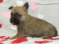 processed/a02f07db-c883-49e6-9b02-cf627b5360fb/listing/1736d464-f721-43d2-a070-ba86ba883ac7/1d41f6ed-04c4-479f-9b06-218fab06139a